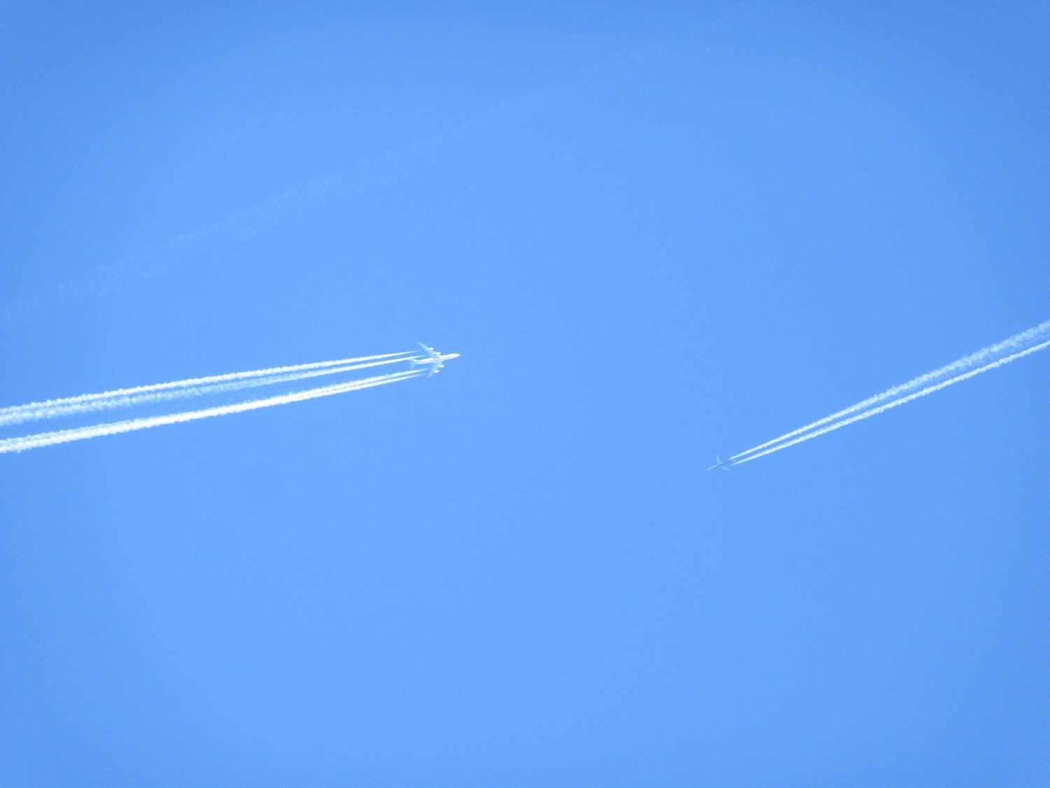 Photo #4508977
