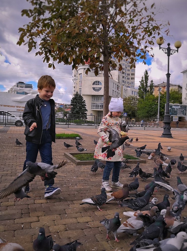 Дети и голуби