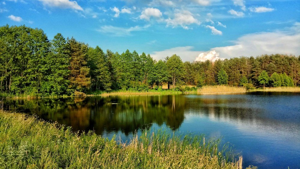 Photograph by Марина Гильмиярова