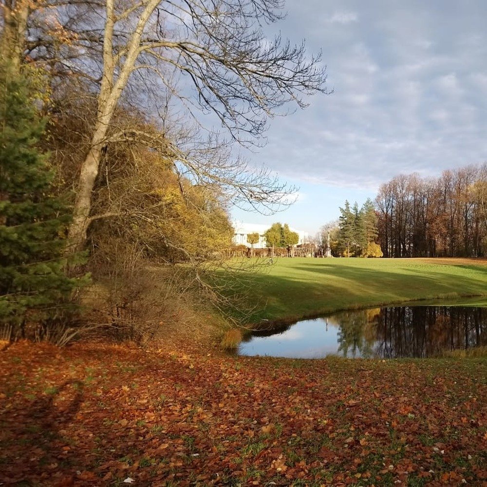 Золотая осень в Екатерининском парке