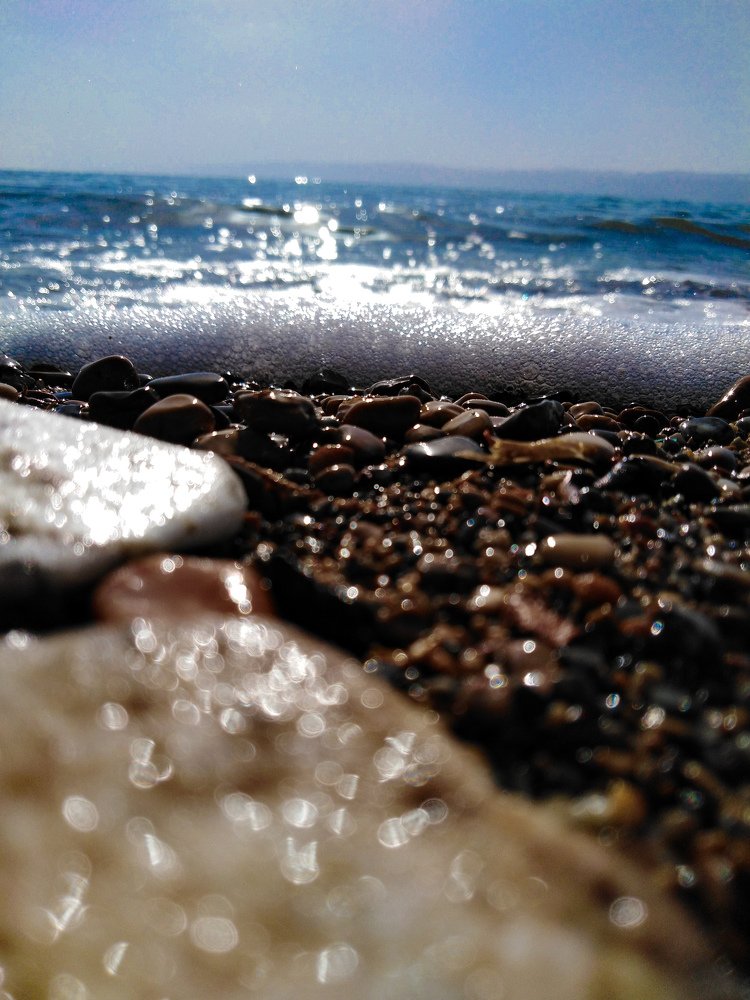 Photo #4509328