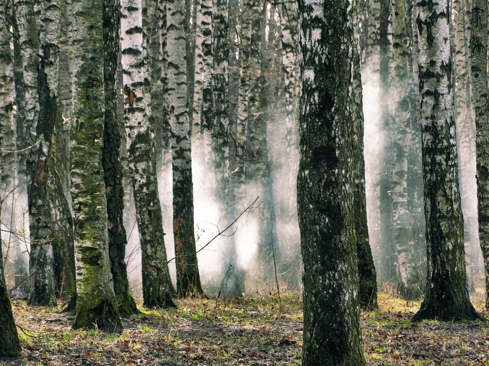 Photograph by Екатерина