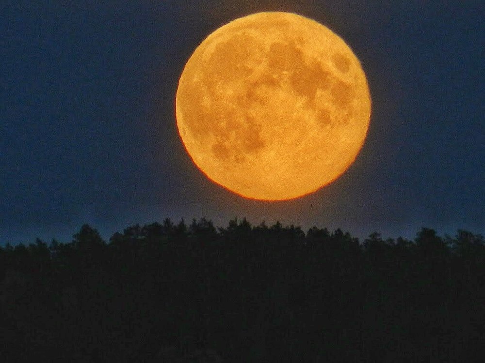 Photograph by Илья