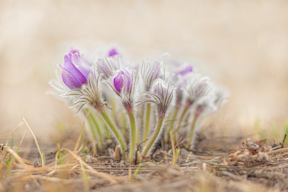 Photograph by Дмитрий Чудинин