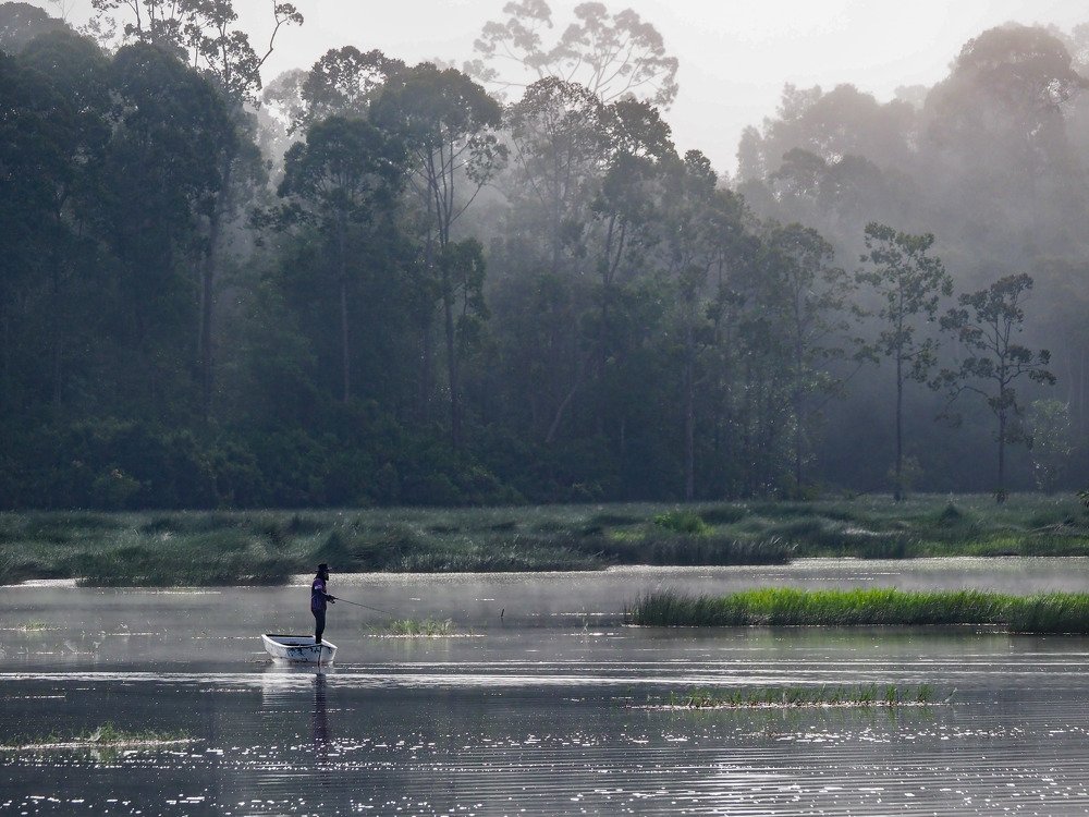 Photograph by chiew weecheng