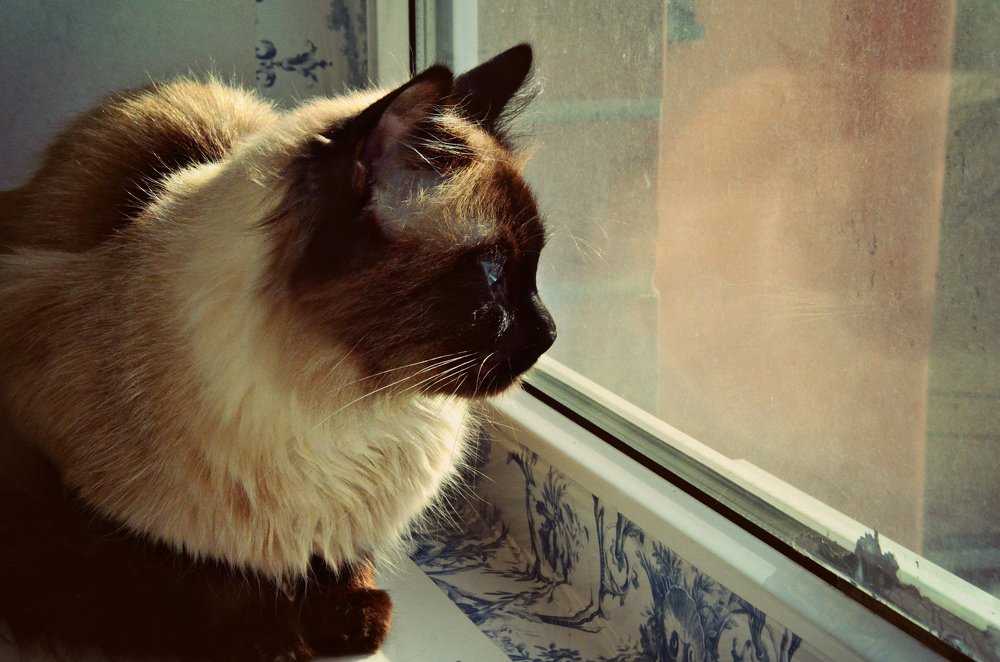 Photograph by Ира Балакова