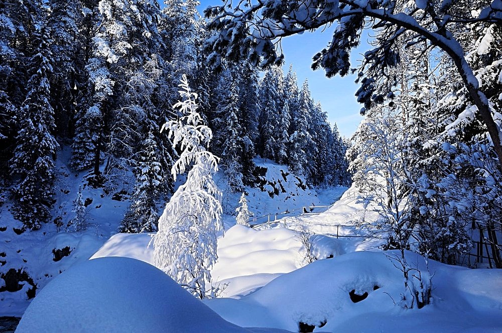 Зимний Кивач