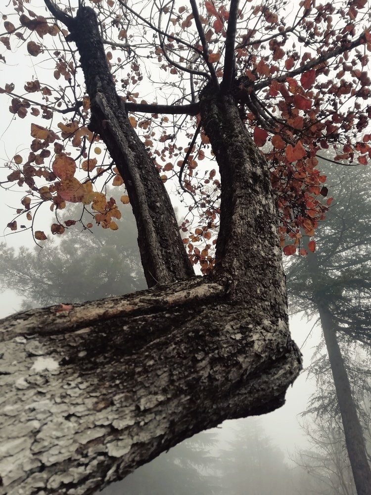 Photograph by Aleksandra Sauri