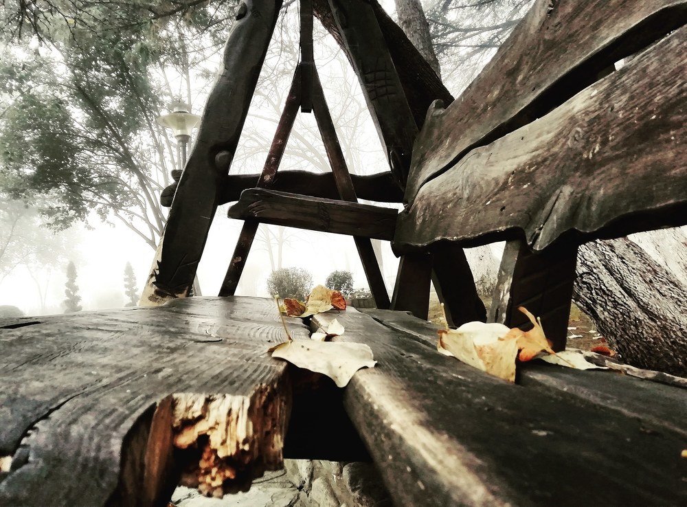 Photograph by Aleksandra Sauri