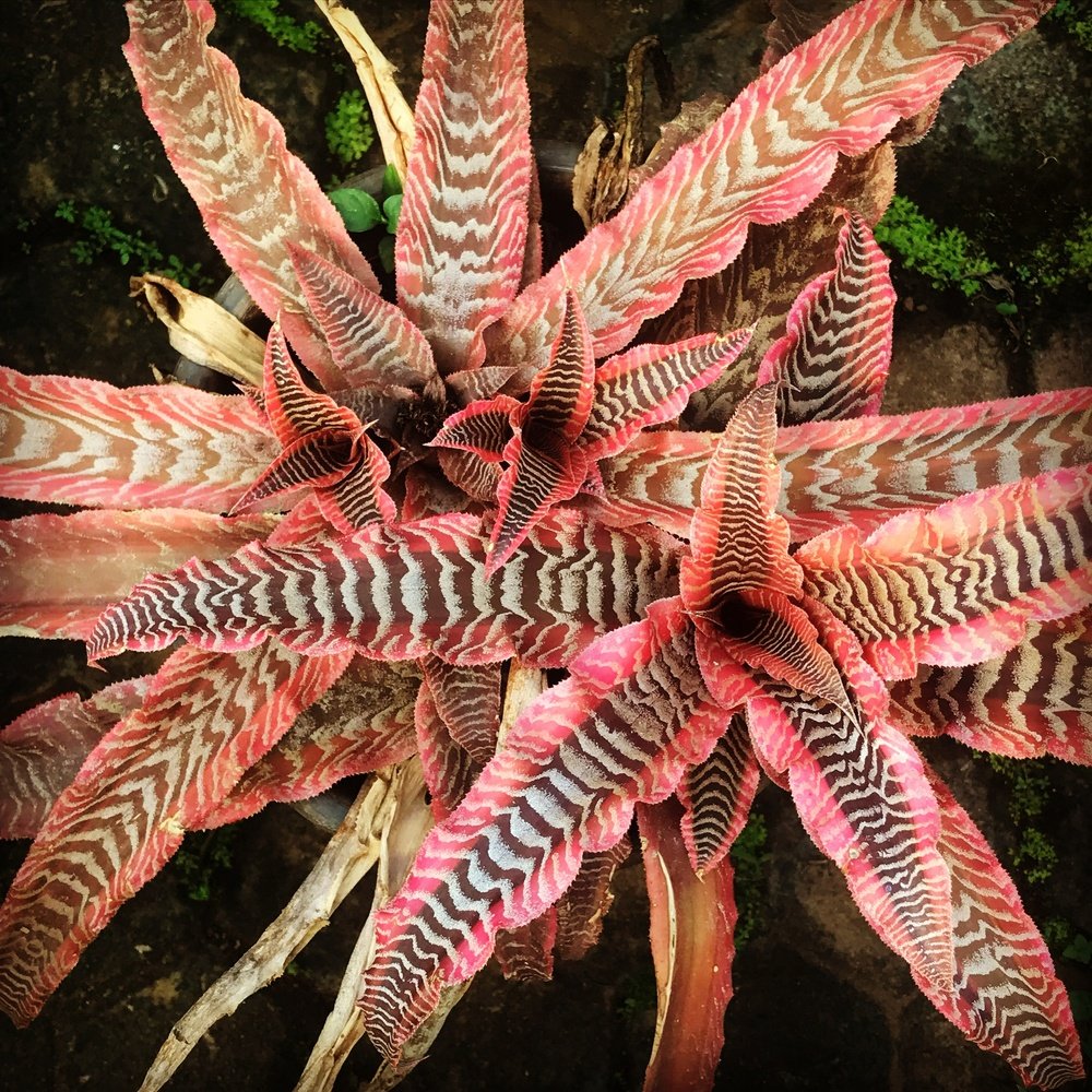 Фотография автора Naren Telluri