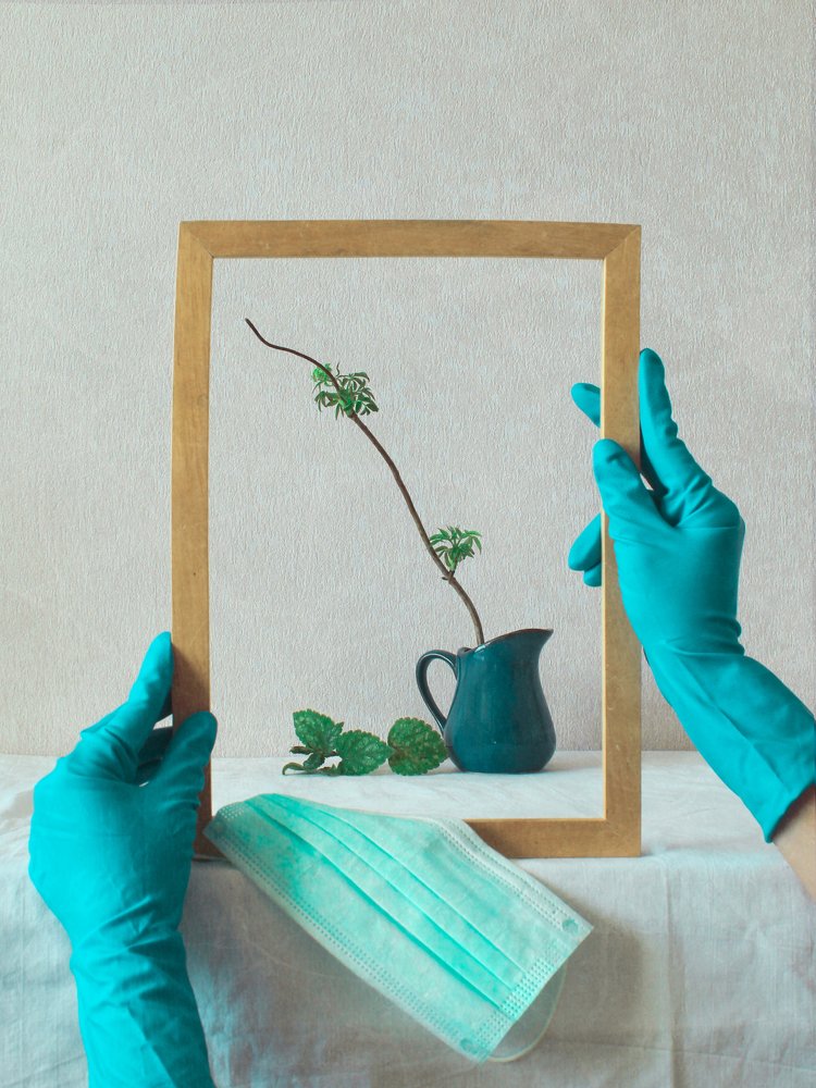 Натюрморт в самоизоляции