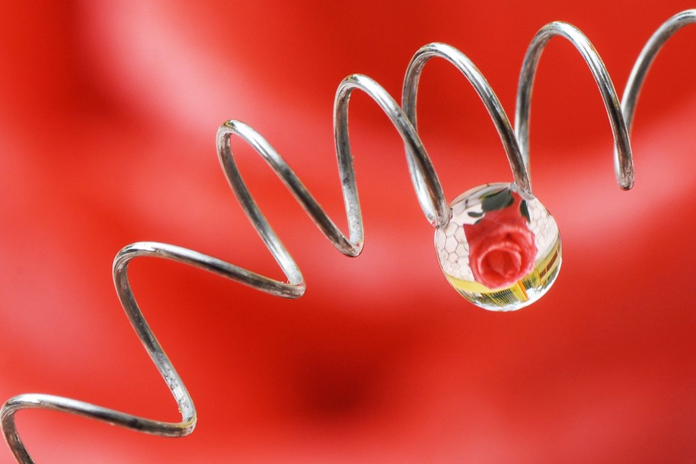 Фотография автора Echa Kriwil