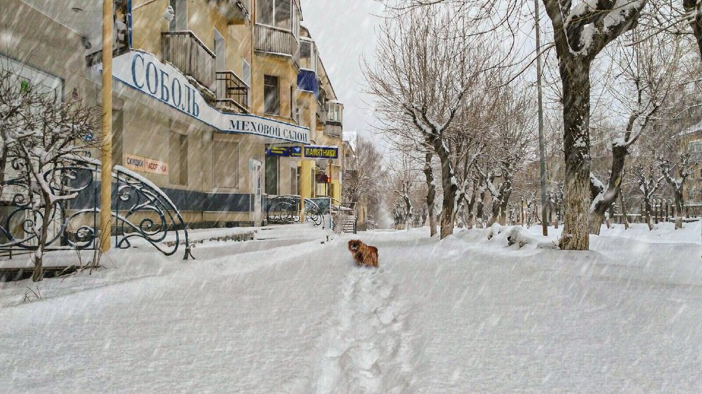 Photograph by Ринат Валиев