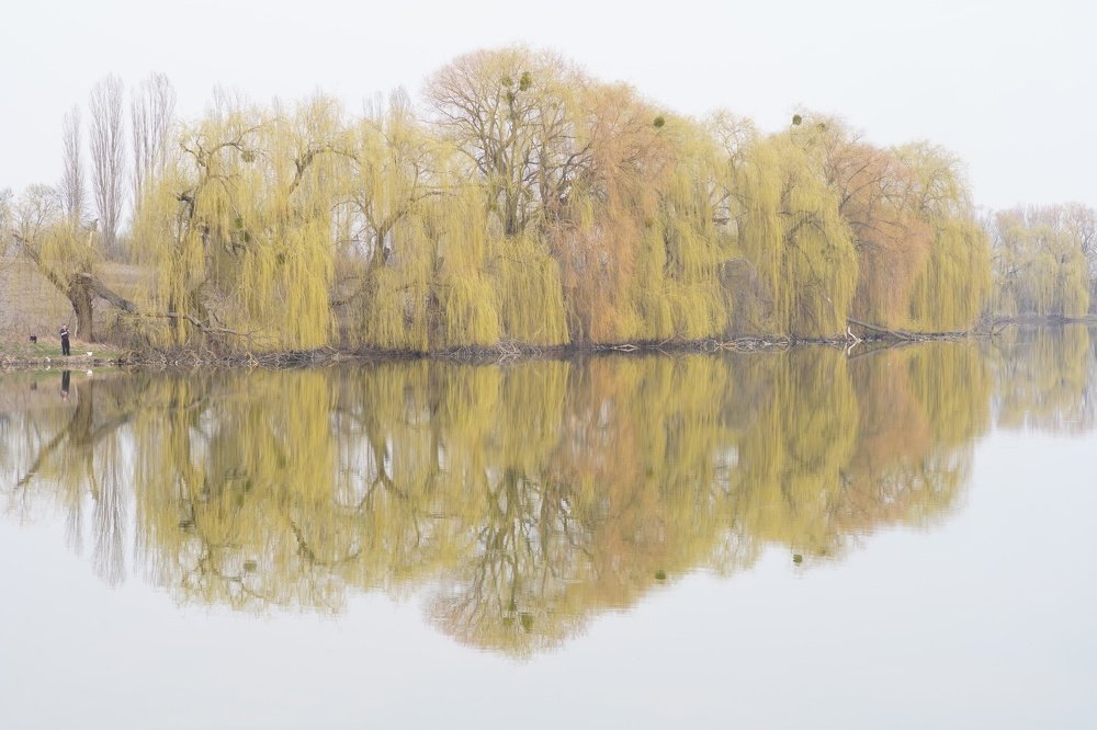 Photograph by Олесь