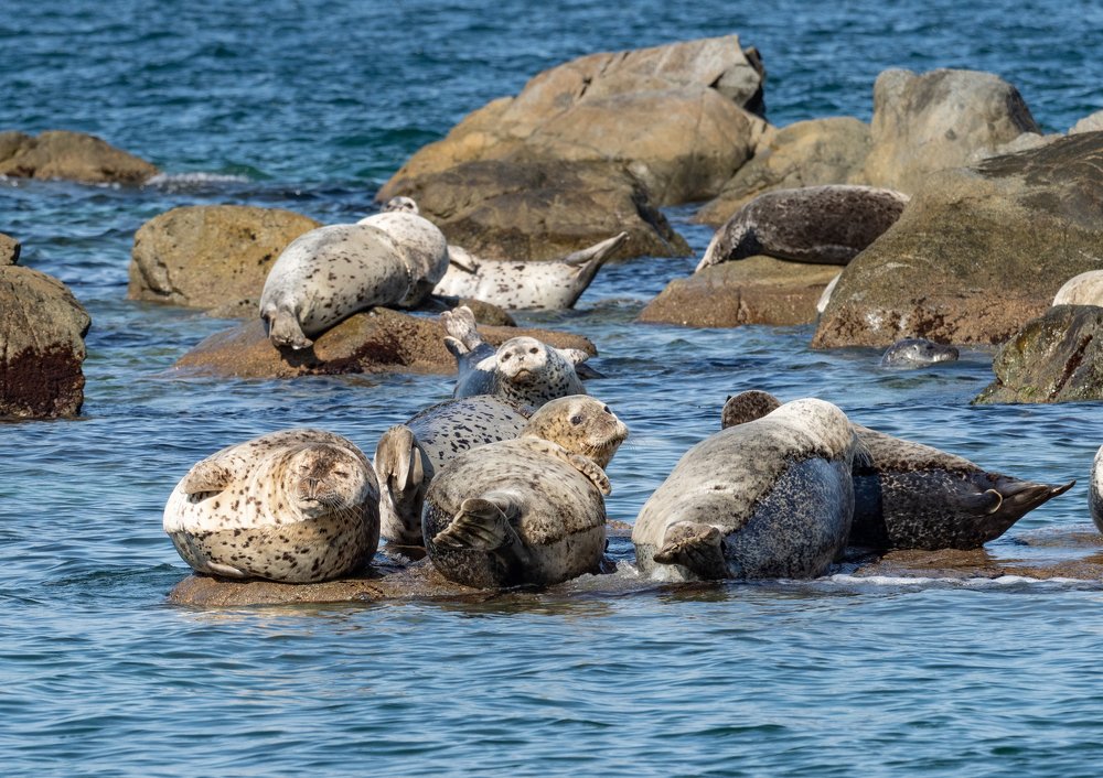 Photograph by Галина Михоношина