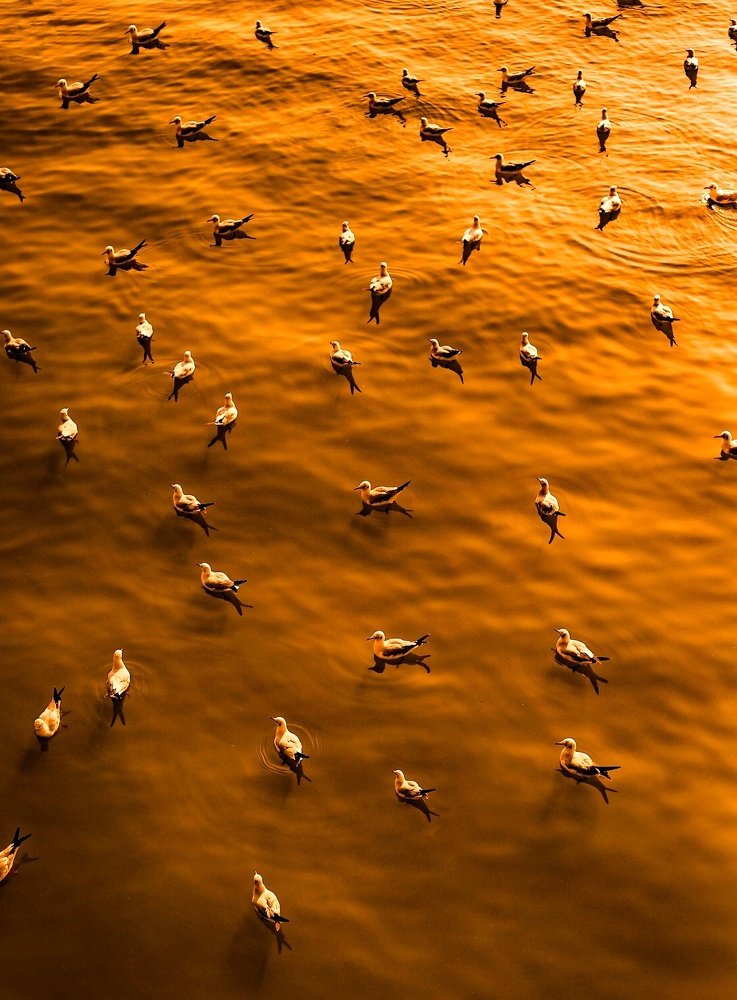 Photograph by Vijay Dongale VD