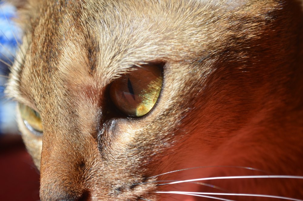 Photograph by Андрей Постников