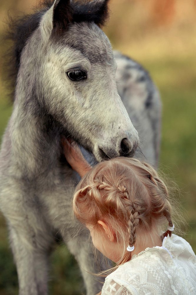 Photograph by Нобель Ольга