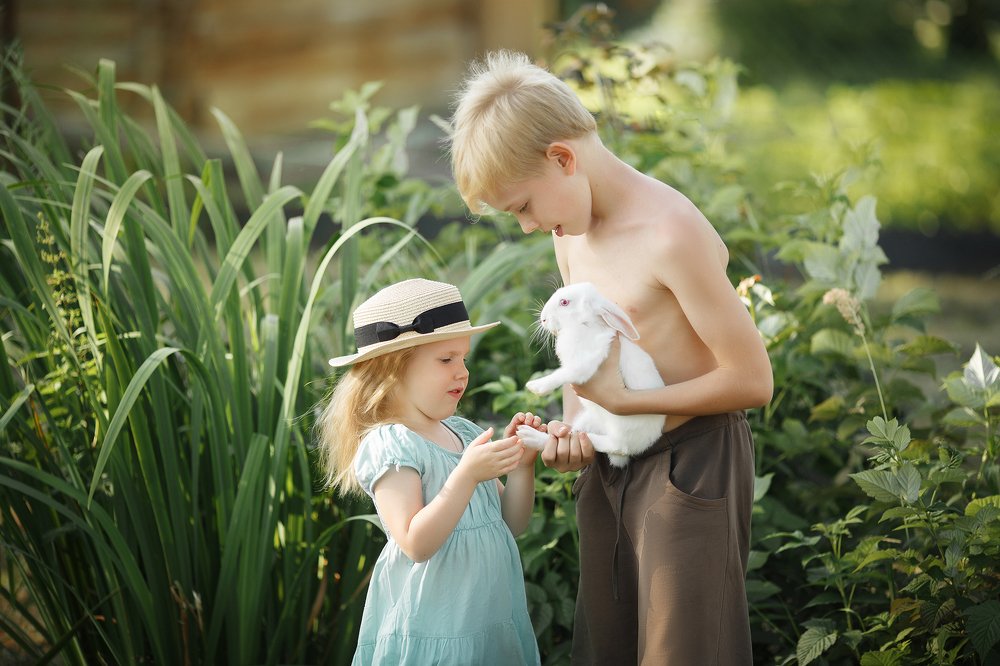 Photograph by Нобель Ольга