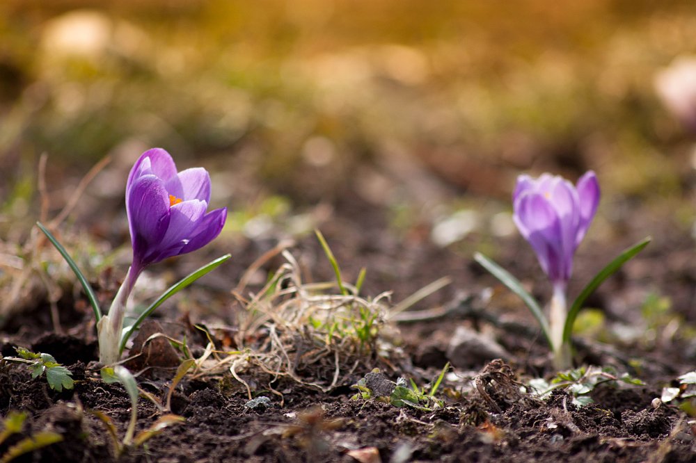 Photograph by Даша Ревинна