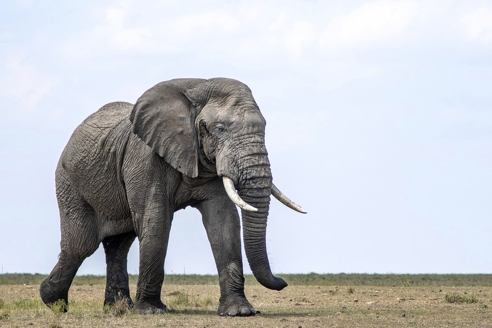 Фотография автора Sanjay Shukla