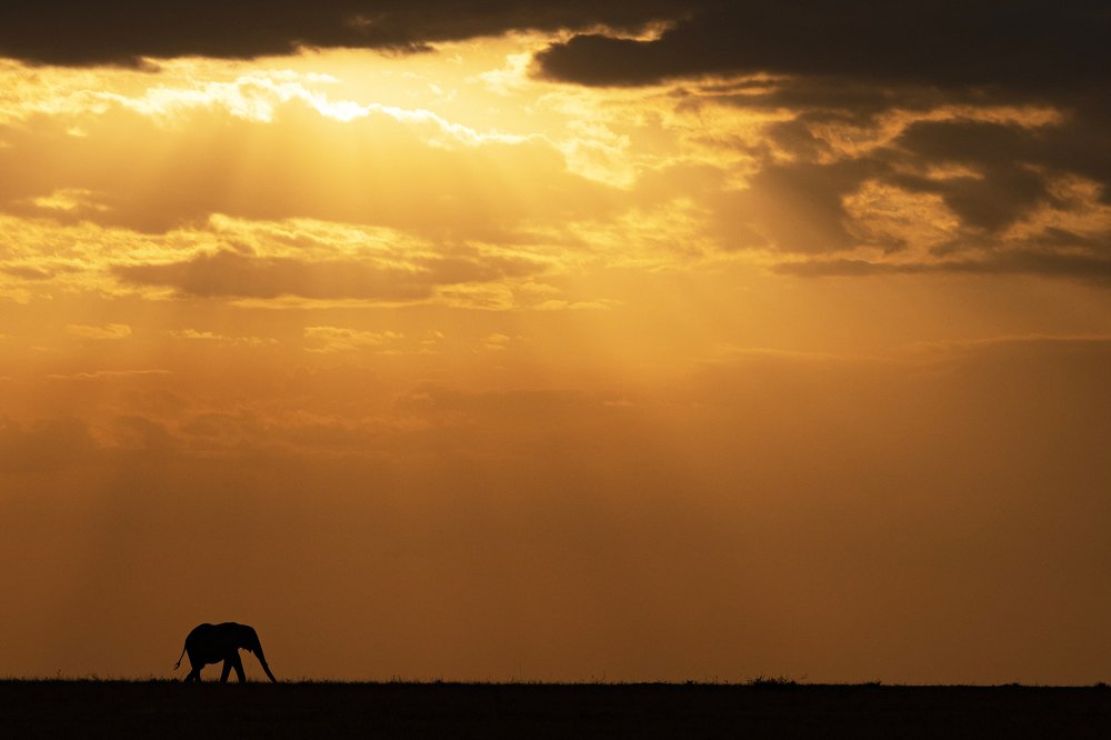 Фотография автора Sanjay Shukla