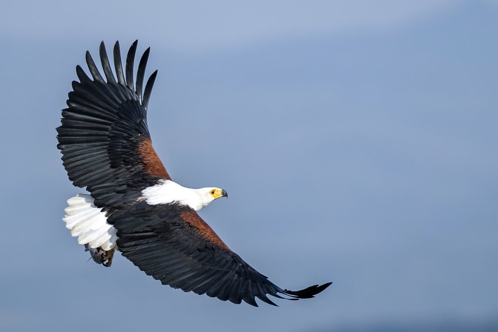 Фотография автора Sanjay Shukla