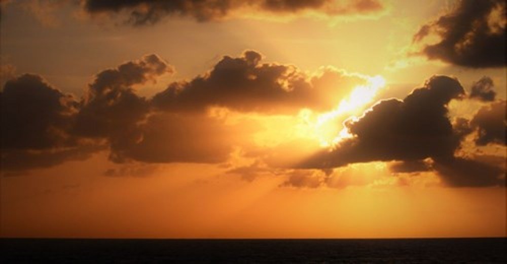 Фотография автора OSMIR ZANETTE