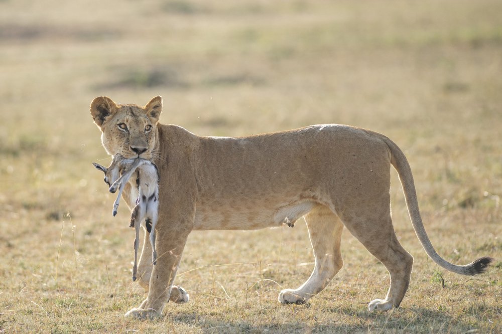 Фотография автора Sanjay Shukla