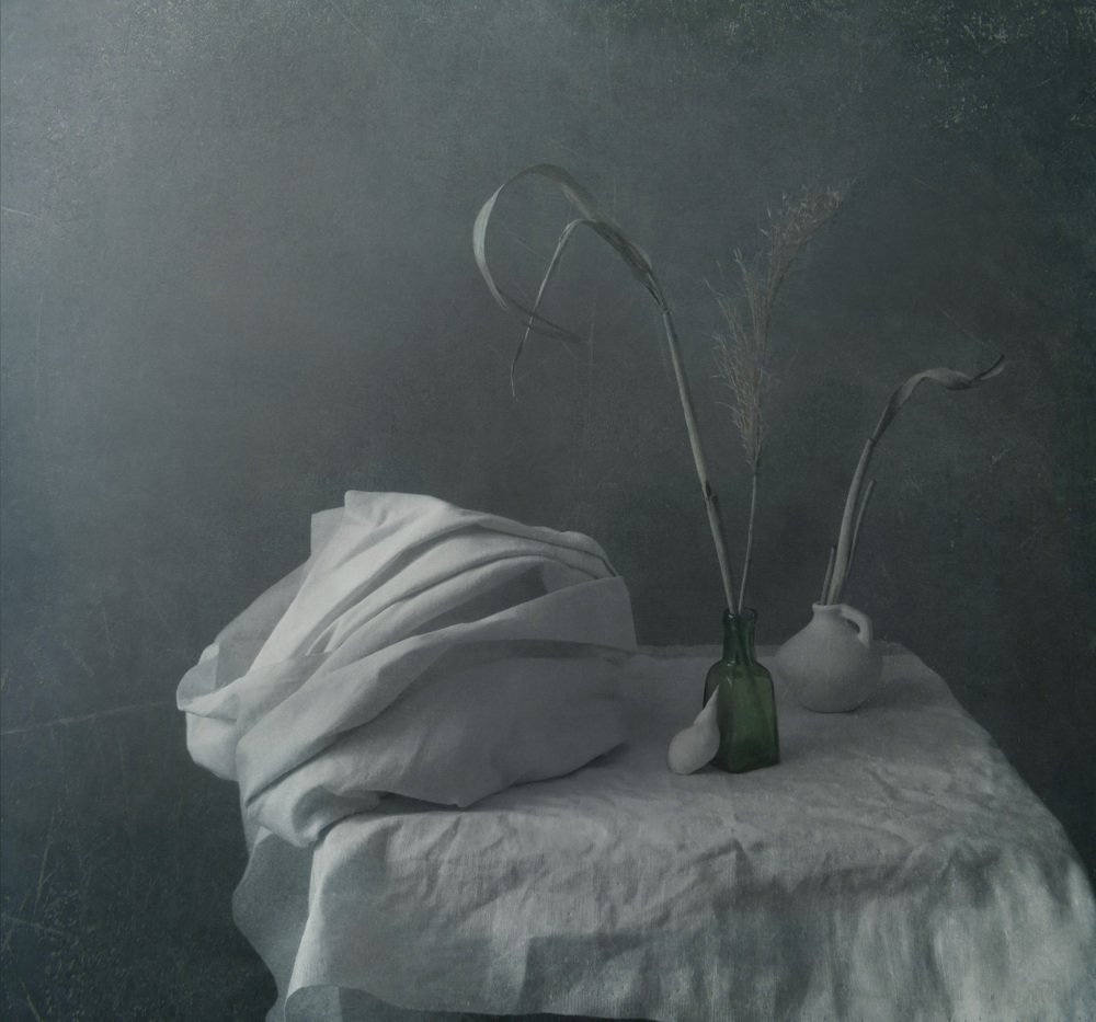 Фотография автора Елена Лысенко