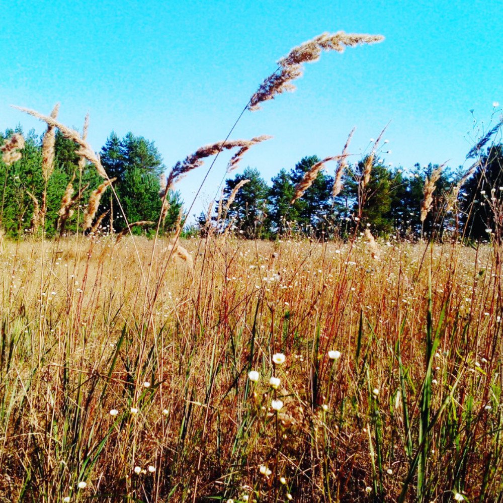 Photograph by Ксения Туваева