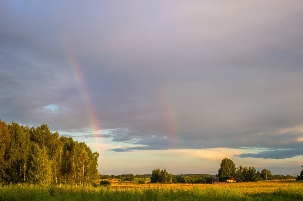 Photograph by Kristine Locika