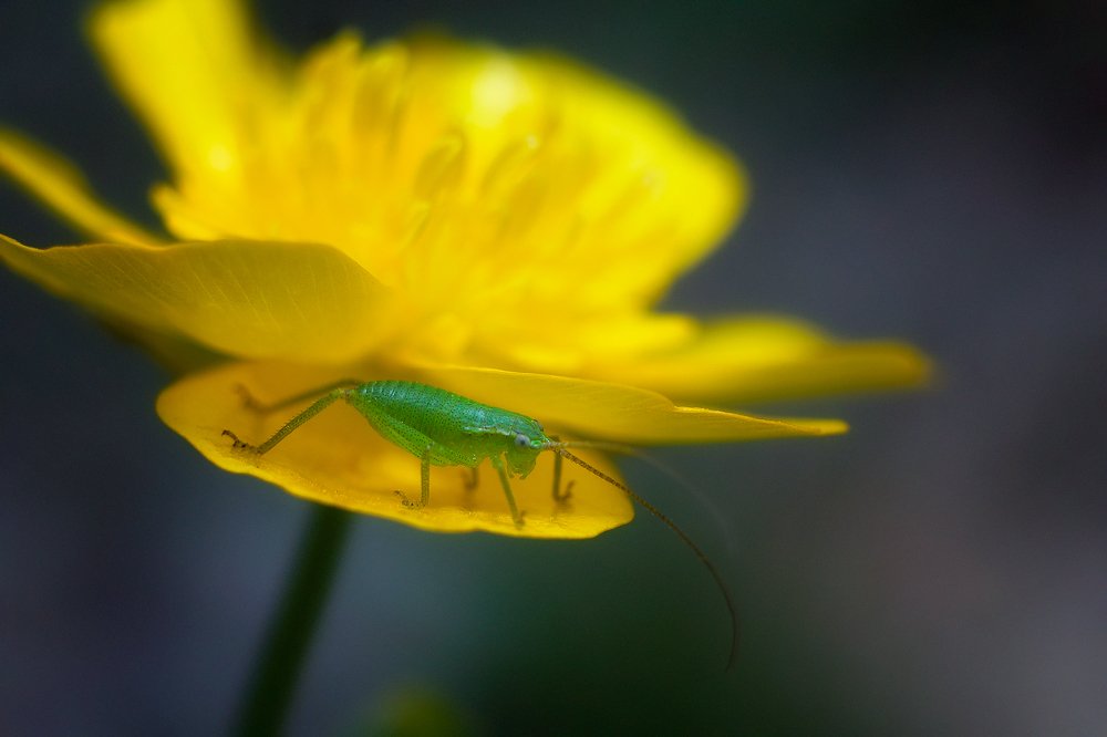 Photograph by Артур