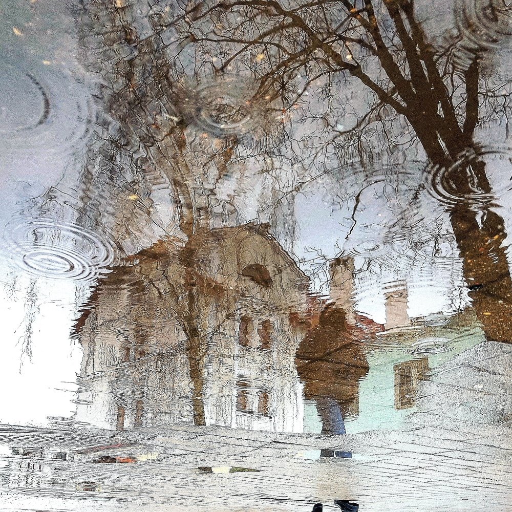 Мир в отражении