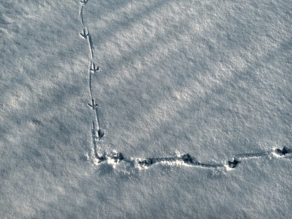 Photograph by Иван Суханкин