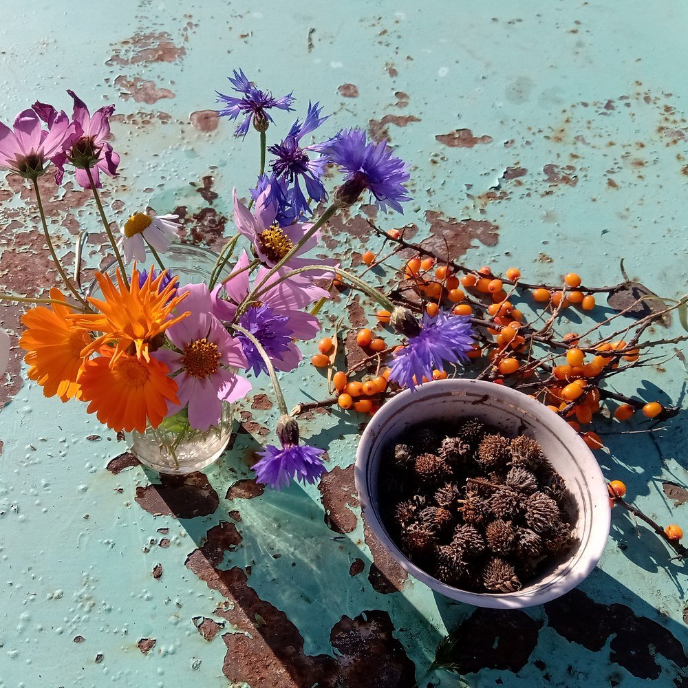 Photograph by Иван Суханкин