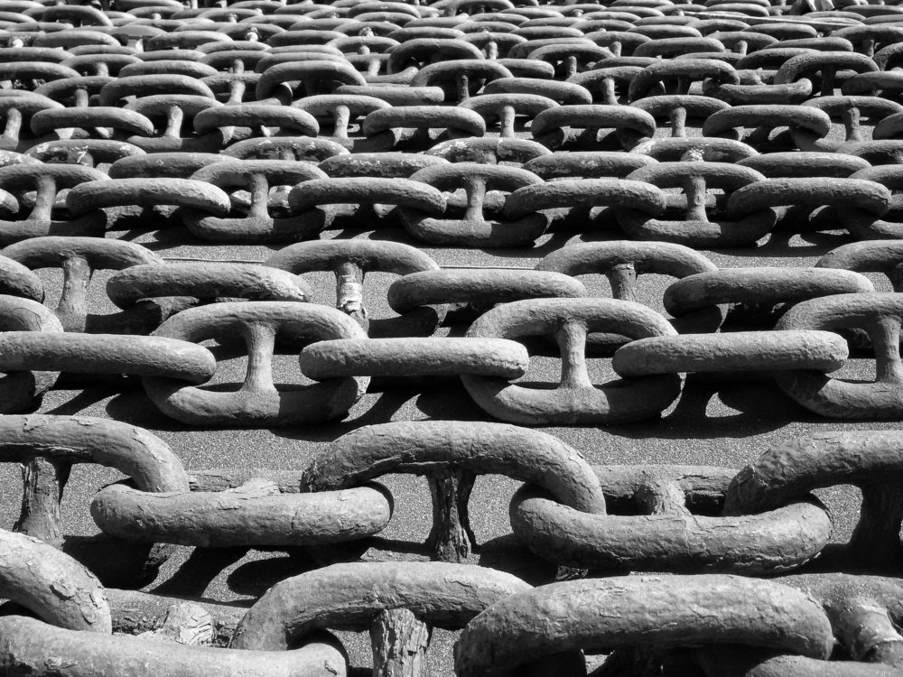 Photograph by jose oliveira