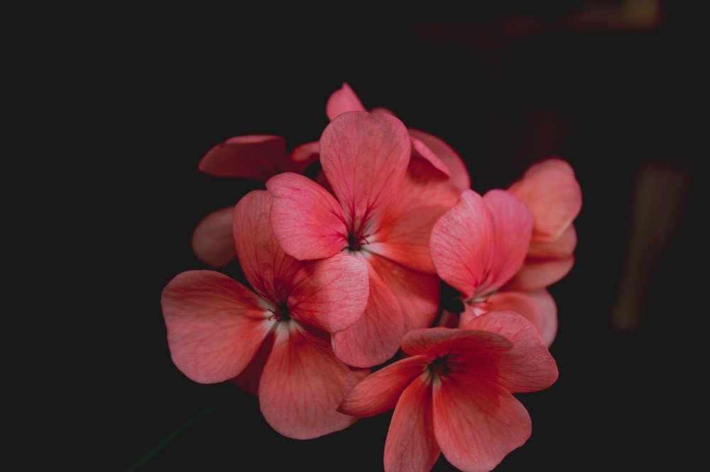 Photograph by Luis Fernando