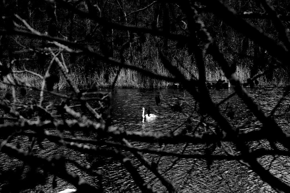 Photograph by Жанна