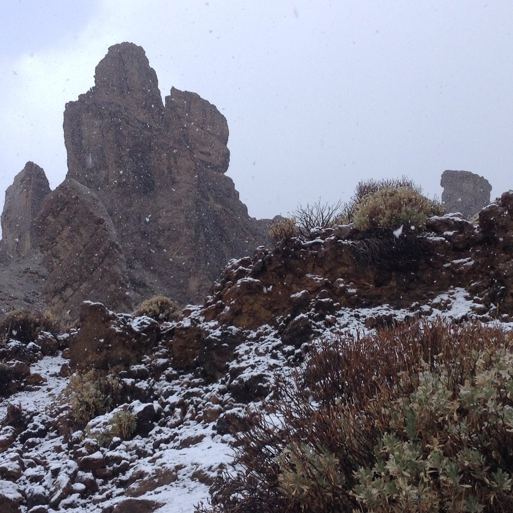 Photograph by Осипова Карина Александровна