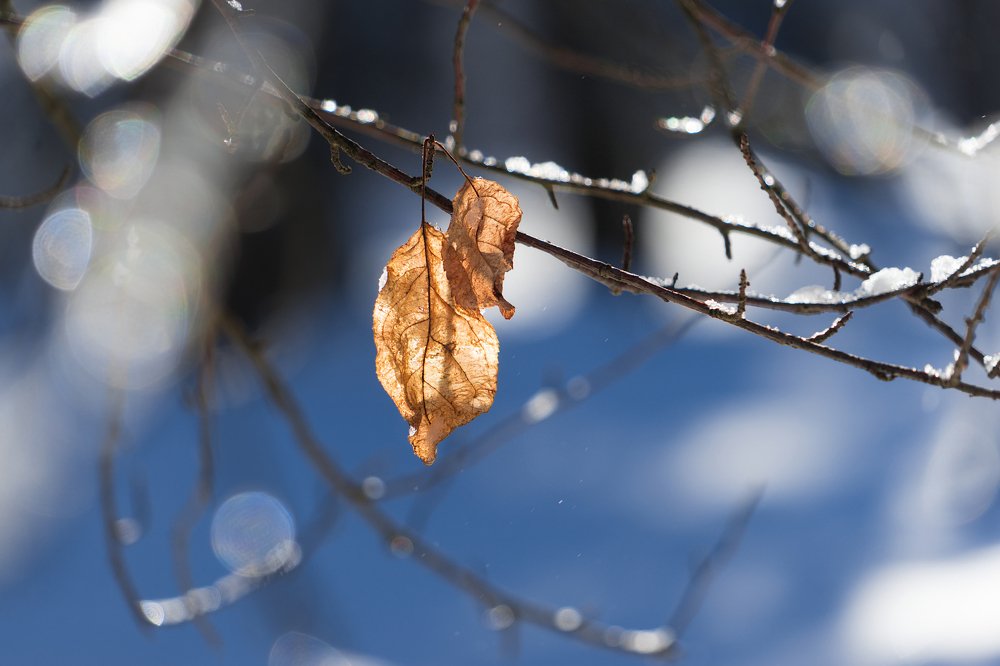 Photograph by Наталья Лягина