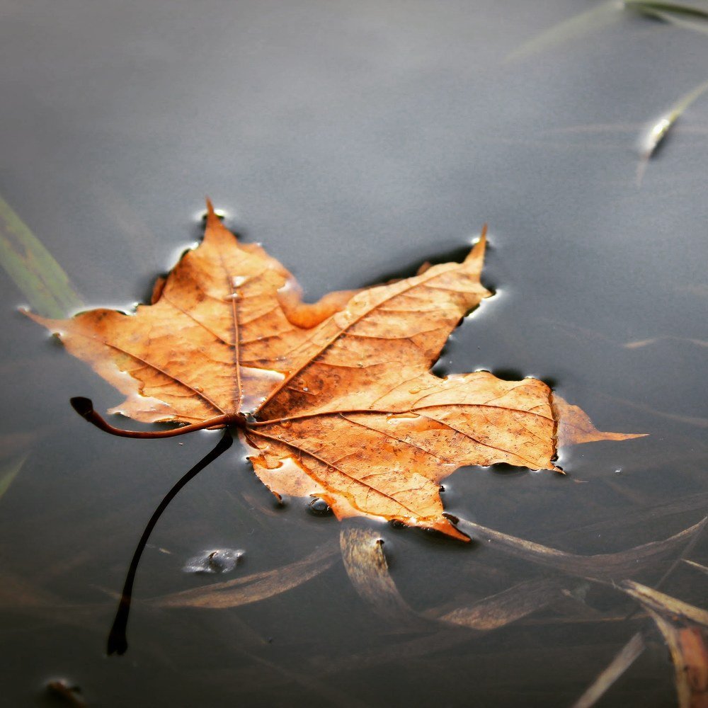 Photograph by Олеся