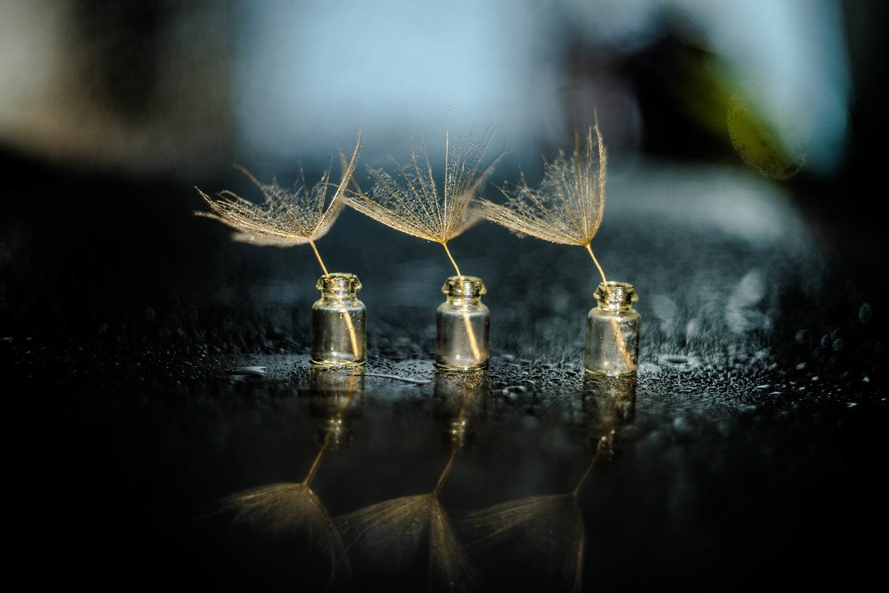 Photograph by Наталья Лещинская