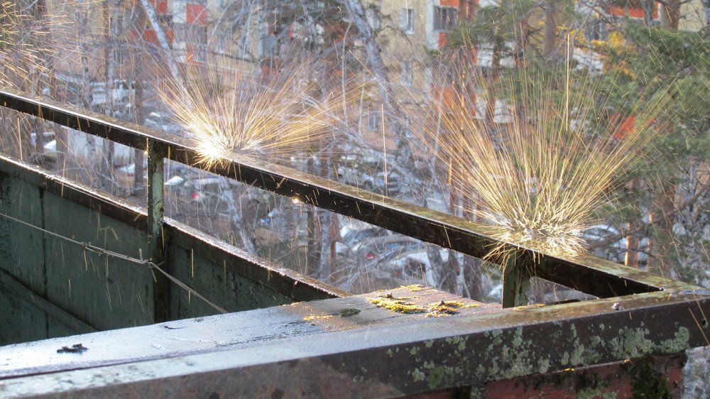 Photo #4511620
