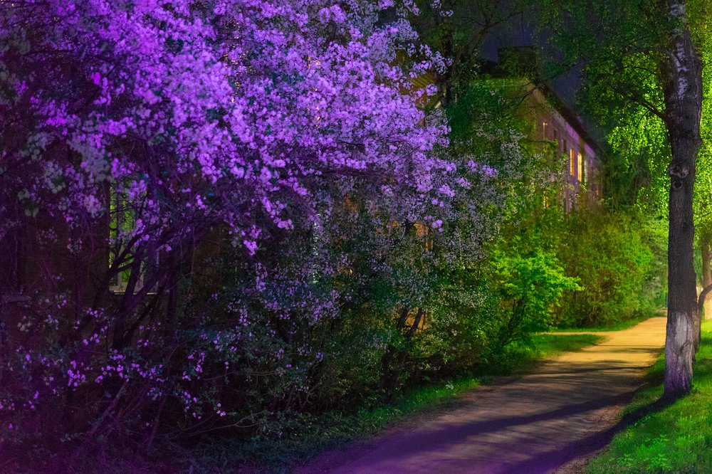 Photograph by Наталья Лягина