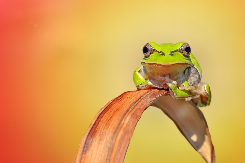 Photograph by Mustafa Öztürk