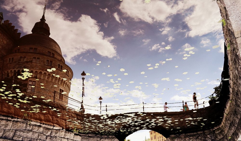 Photograph by Алексей Обухов