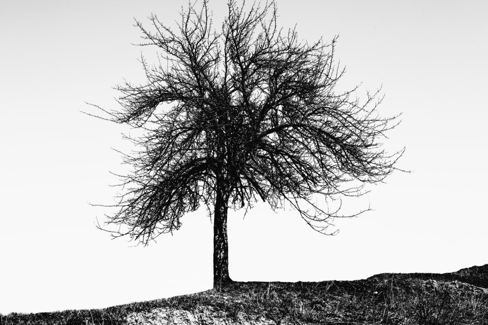 Photograph by Дмитрий Стадницкий