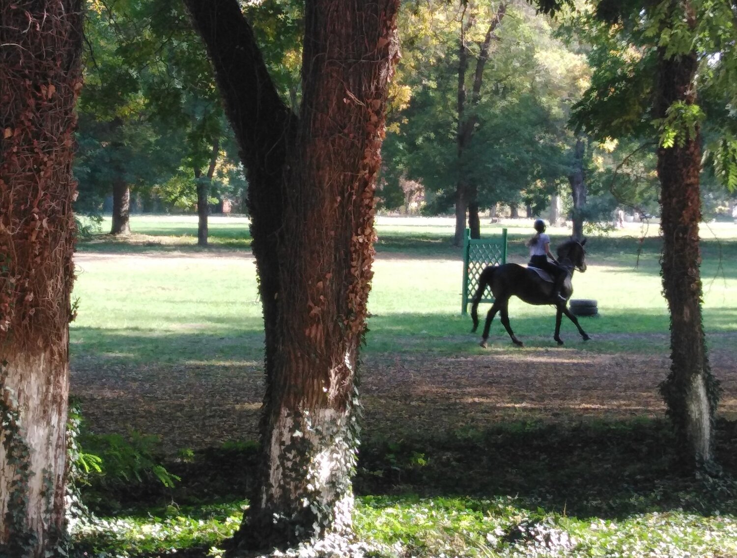 Photo #4512028