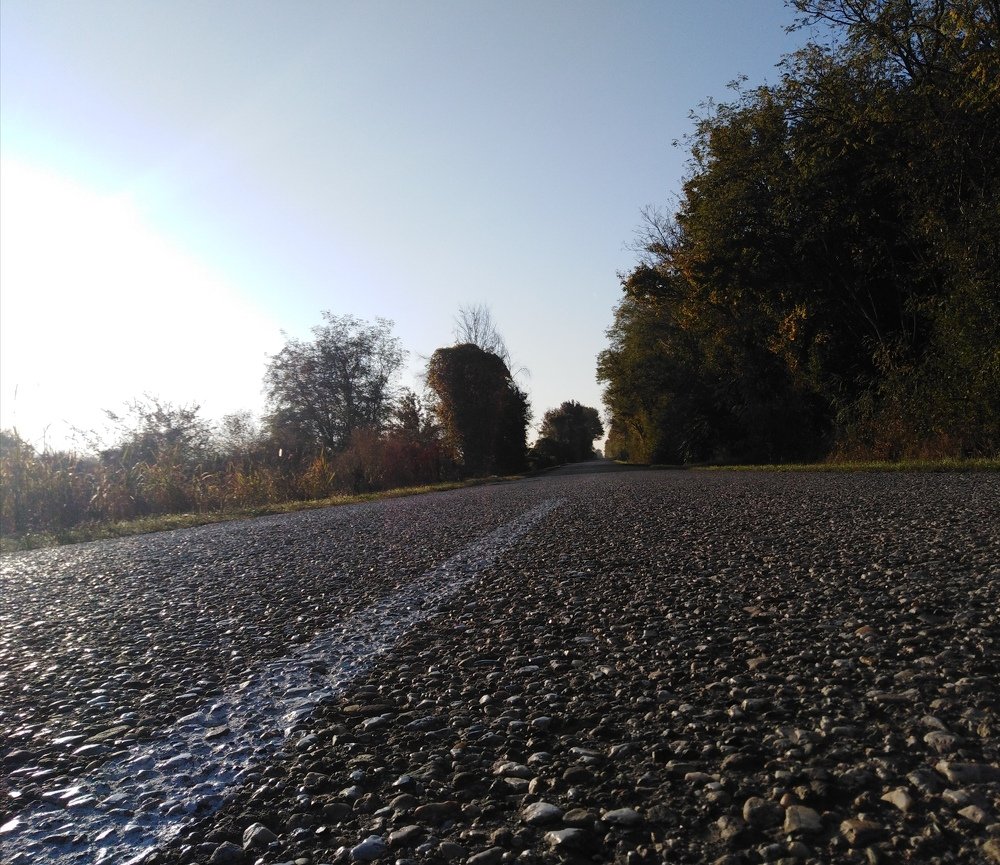 Photo #4512033
